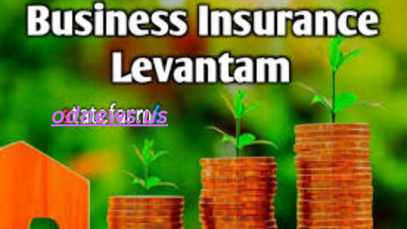 Business insurance levant